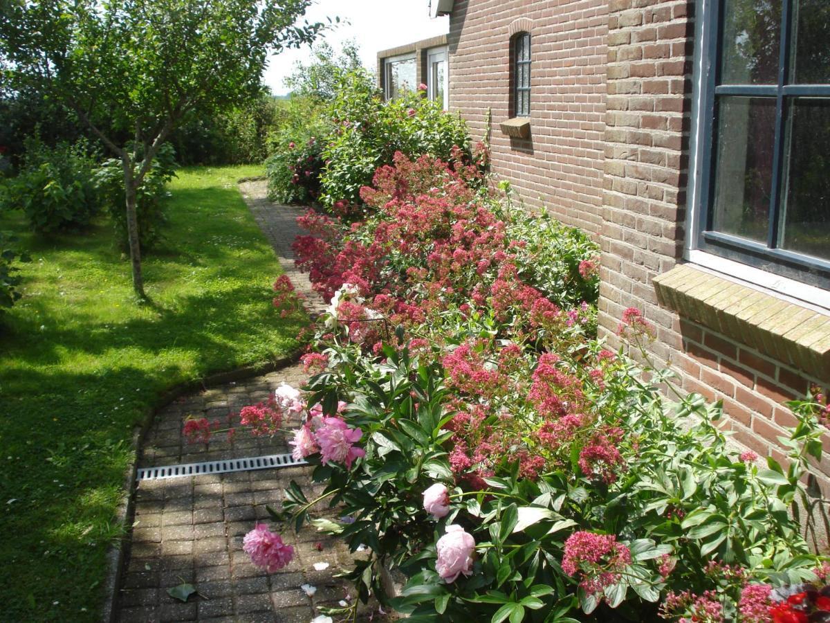 B&B Op De Vlakte Oosternijkerk Zewnętrze zdjęcie